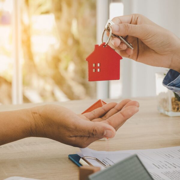 Lisa Jeffries Nobling Ownify Accredited Real Estate Agent